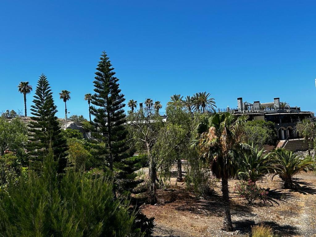 Villa Natali ,Luxury 3-Levels Large Villa On Tenerife, Ocean View, Private Poo L& Barbecue Area Costa Adeje  Exteriér fotografie